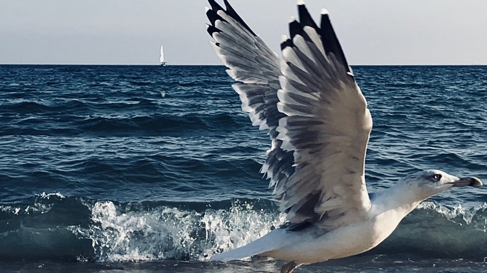 Photograph by Сергей Гончаров