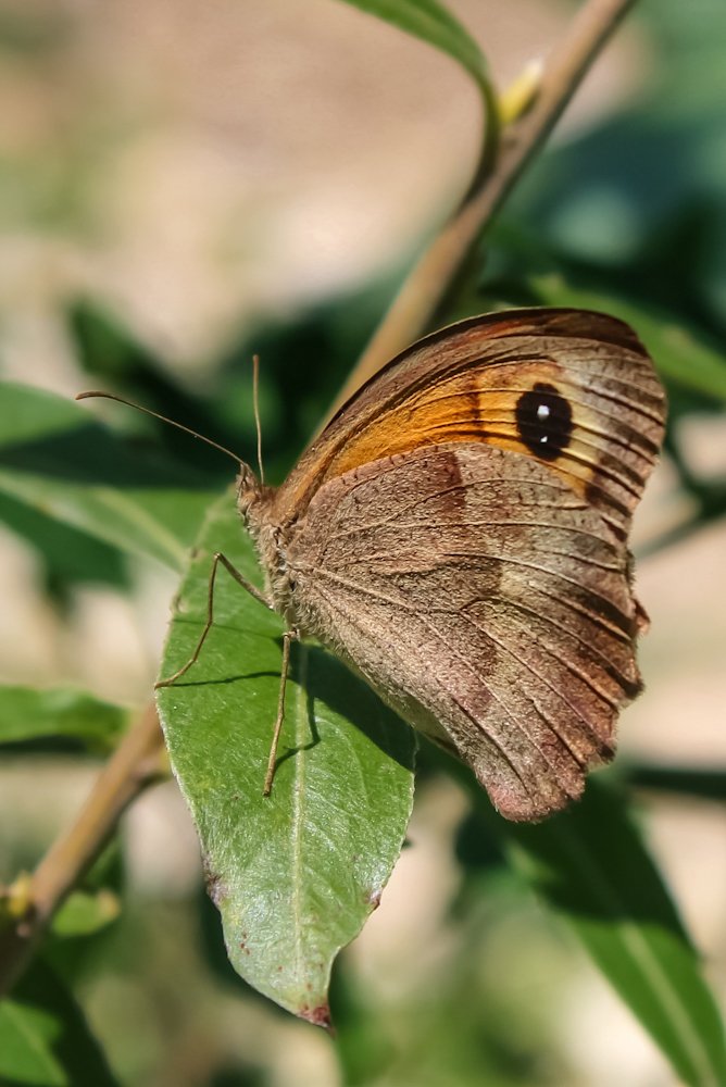 Photograph by Maria Cristina Artale