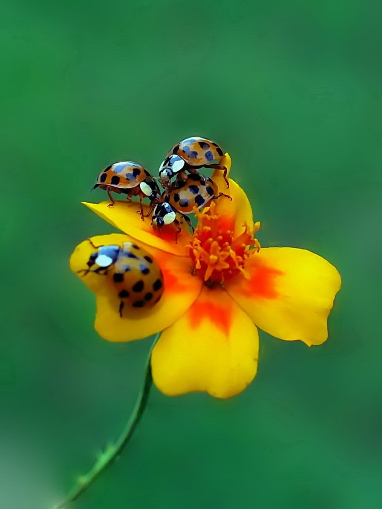 Photograph by 