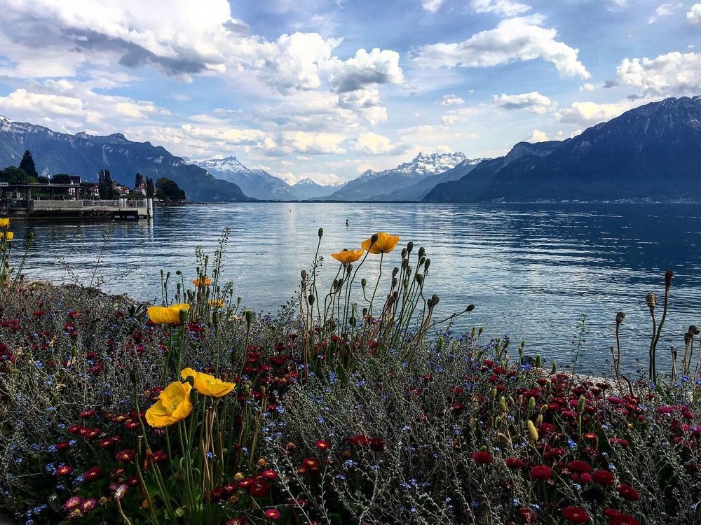 Photograph by Yana Shaforostova