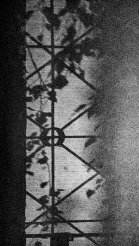 Photograph by Андрей Михайлин