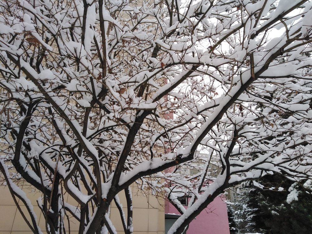 Photograph by Татьяна Ситникова