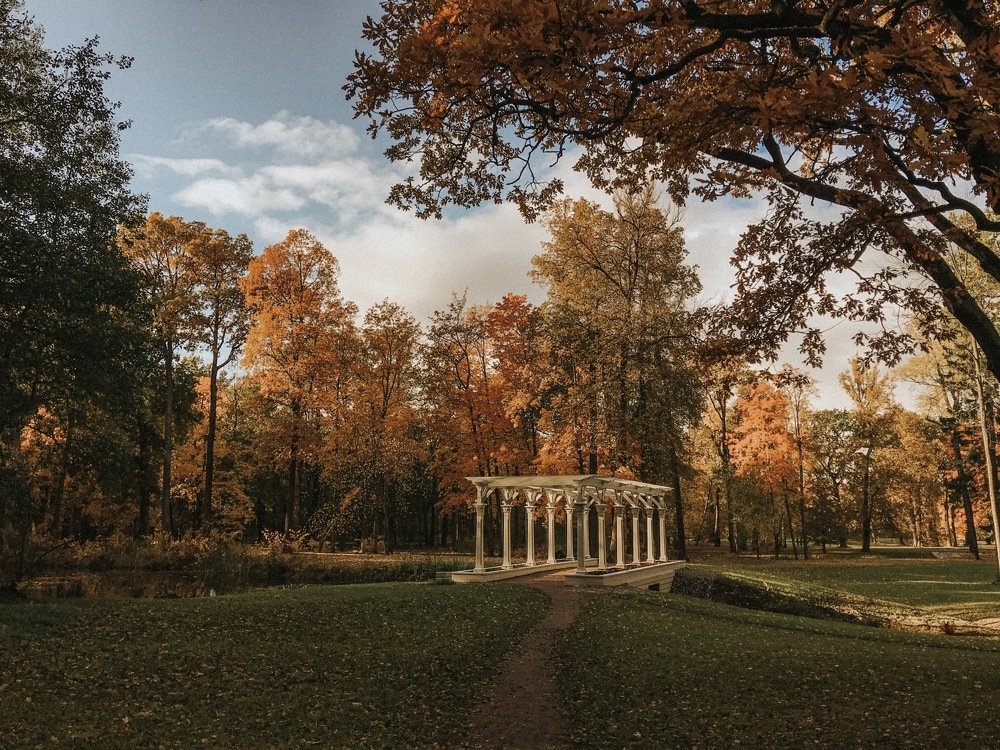 Photograph by Yana Shaforostova