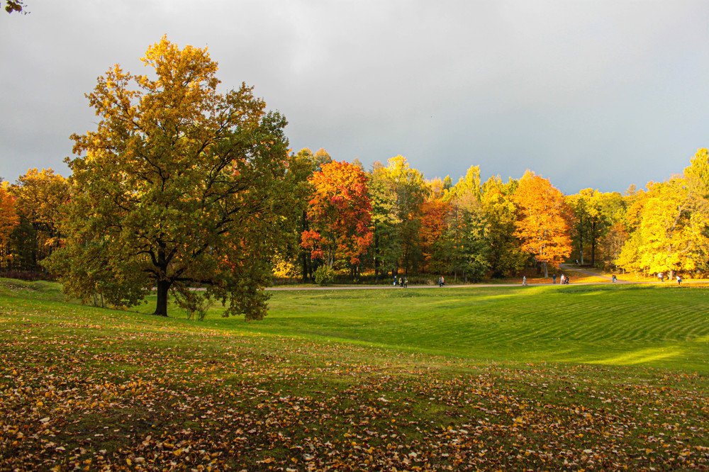 Photograph by Yana Shaforostova