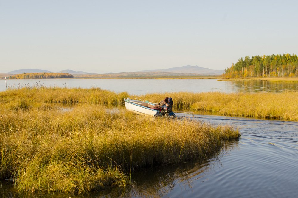 Photograph by Людмила Зяблова