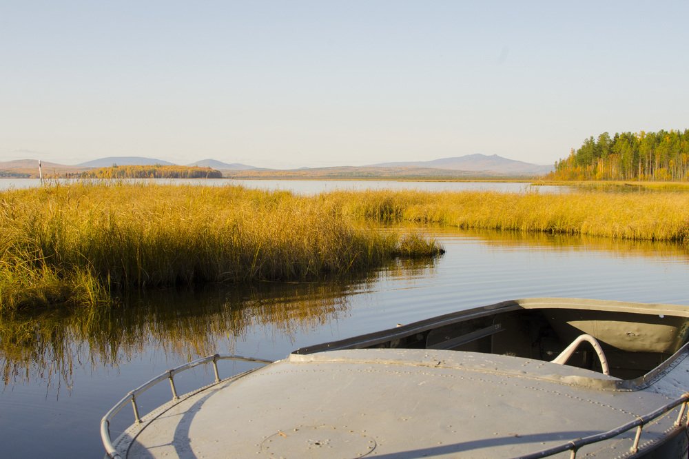 Photograph by Людмила Зяблова