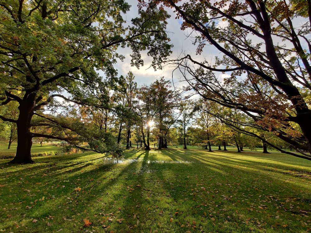 Фотография автора Lujza Stoklas