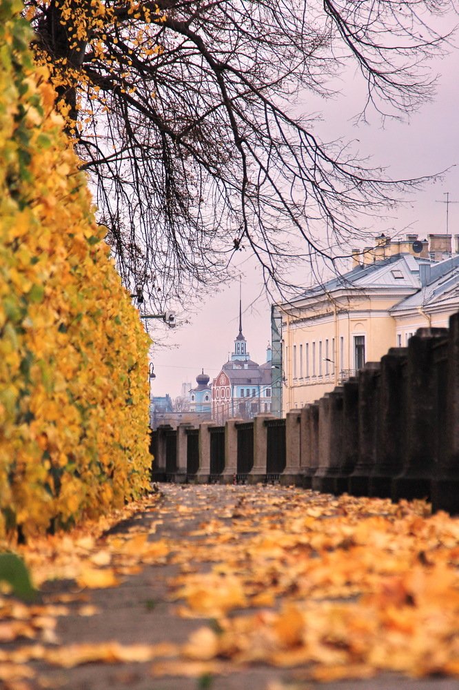 Photograph by Александр Алабушев
