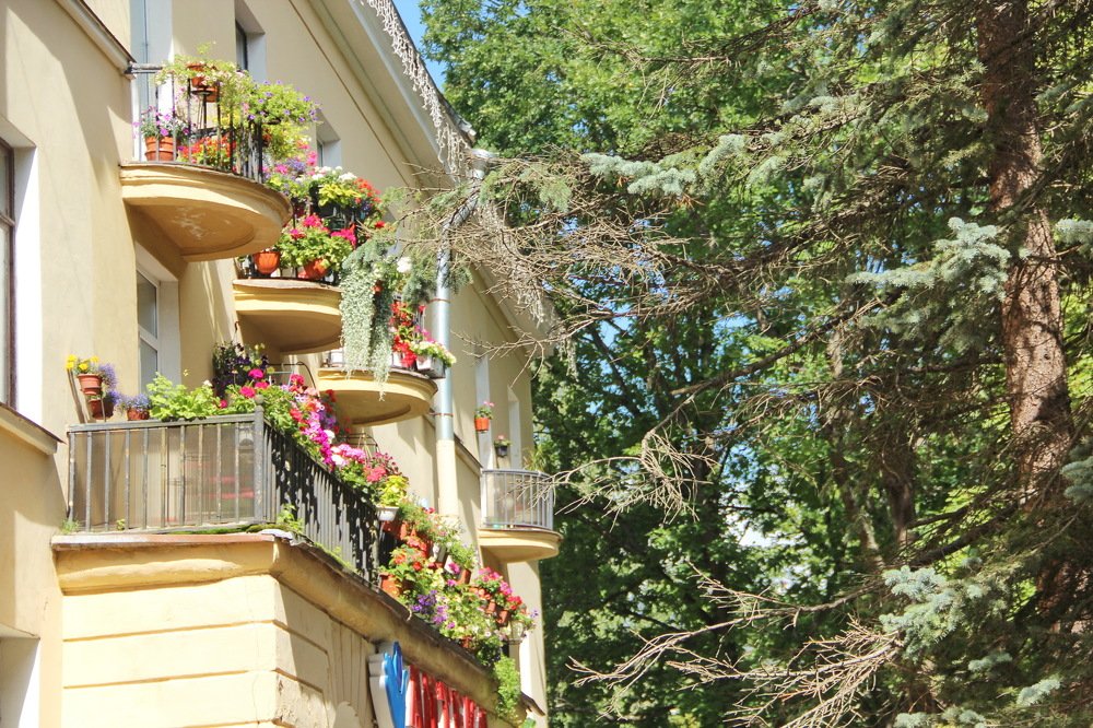 Photograph by Александр Алабушев