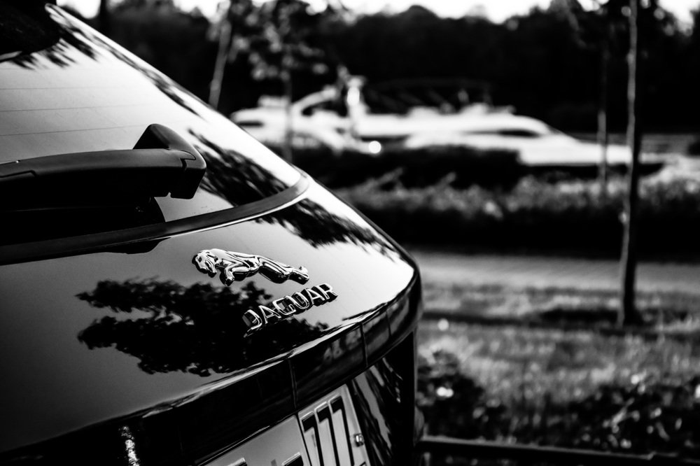 Photograph by Yana Shaforostova