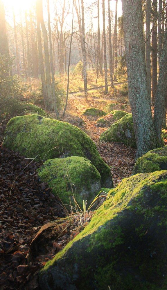 Photograph by Александр Алабушев