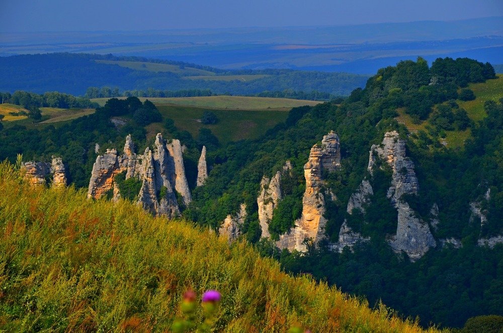 Photograph by Сергей Смоленцев