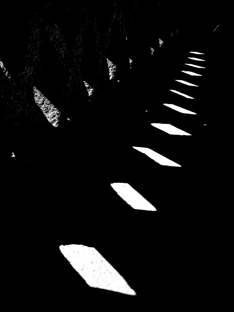 Photograph by Eslami nia Abolfazl