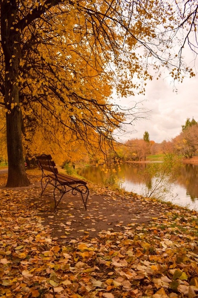 Все оттенки настроения