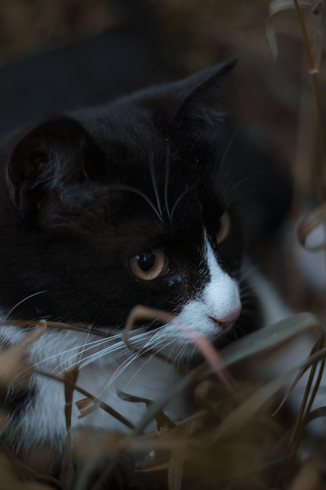 Photograph by Вюсал Асадов