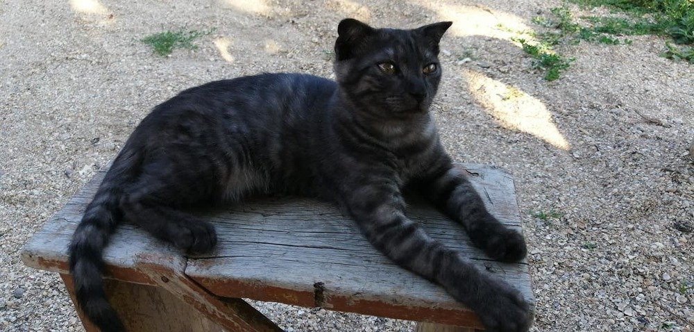 Photograph by Мила