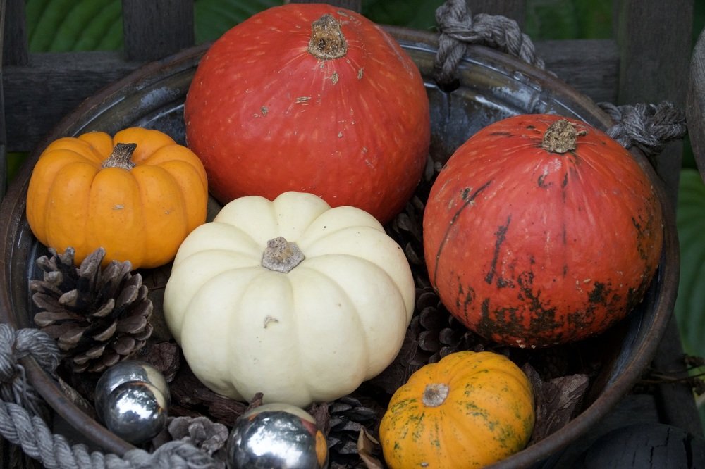 Photograph by Наталья Пирогова