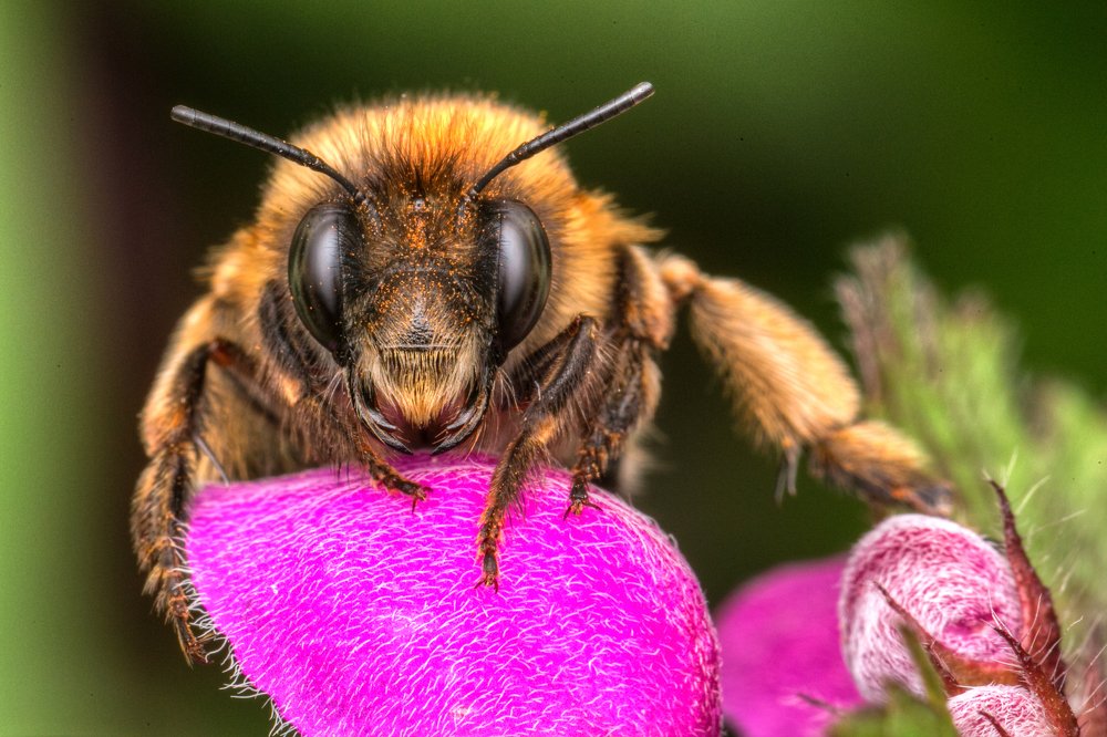 Фотография автора Marcin