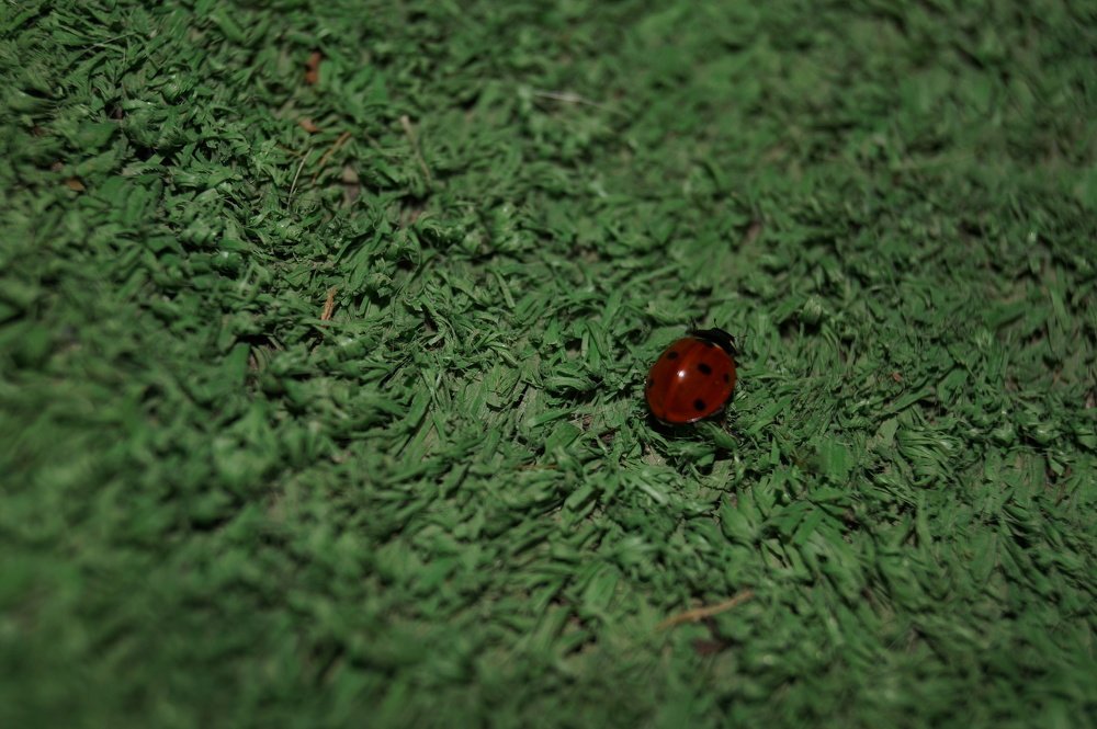 Photograph by Vlad Proshin