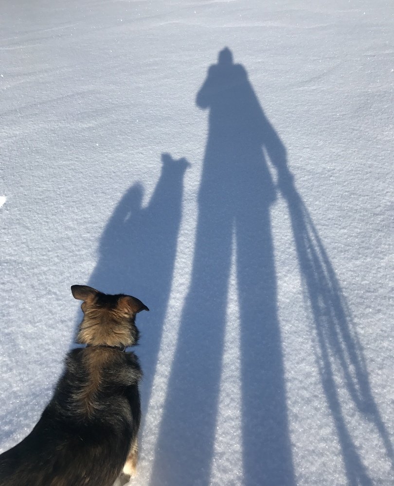 Казалось бы, тень — это всего лишь бледная копия оригинала