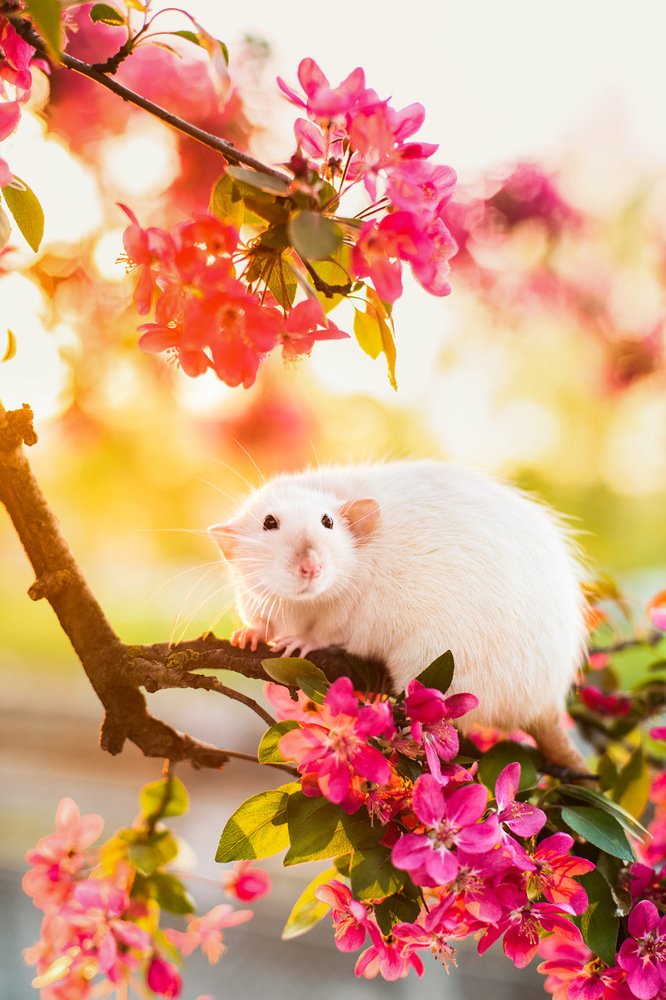 Photograph by Ольга Хазай