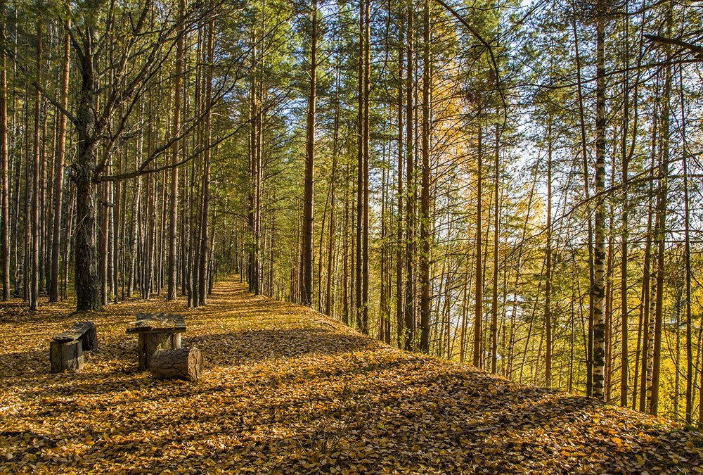 Photograph by Елена Чудиновских