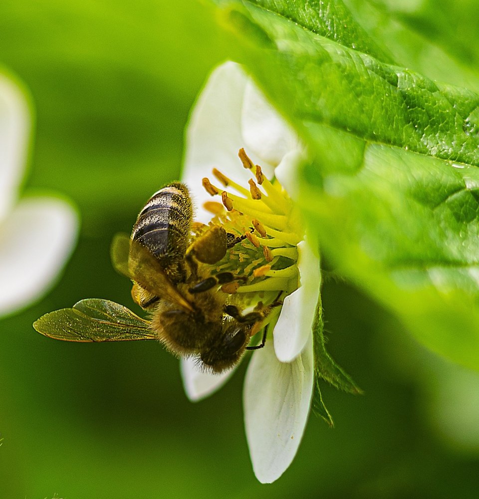 Photograph by Юлия Щербакова