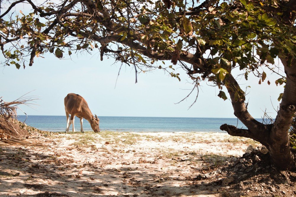 Photograph by Yana Shaforostova