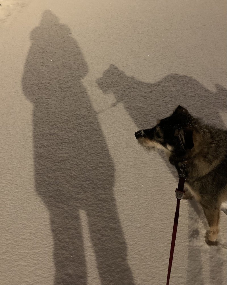 Ночная тень