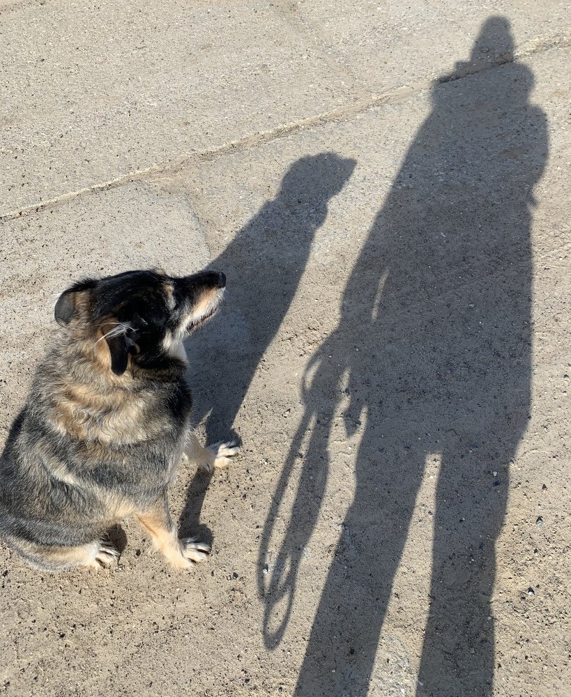 Тень появляется только тогда, когда существует хотя бы крупица света.......☀️