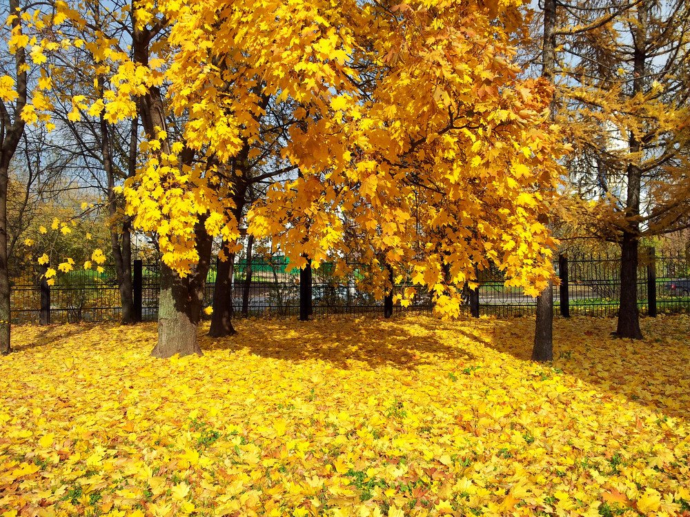 Moscow autumn