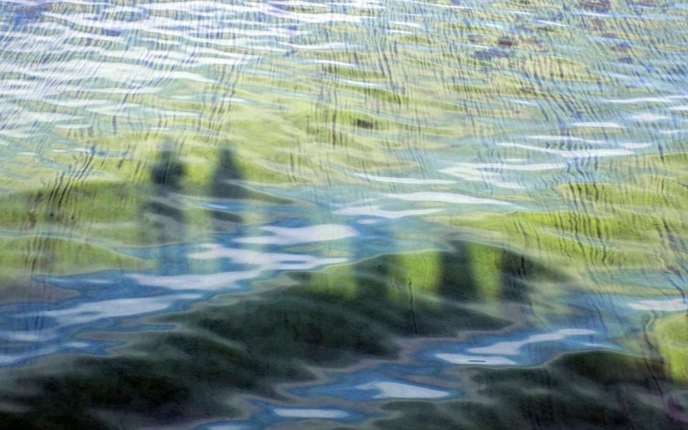 Photograph by Сергей Рудаков