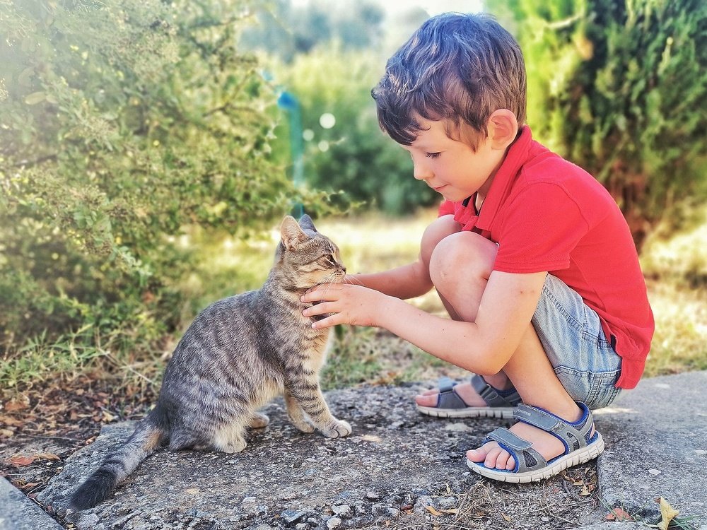 Photograph by Владимир Леликов-Кузьменко