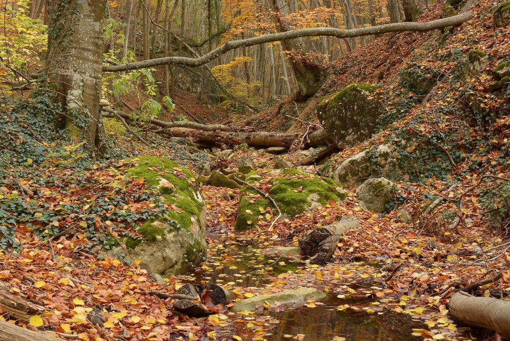 Photograph by Михаил Колтухов