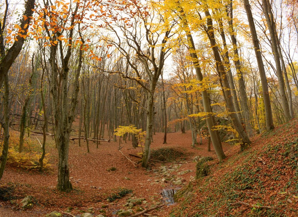 Photograph by Михаил Колтухов