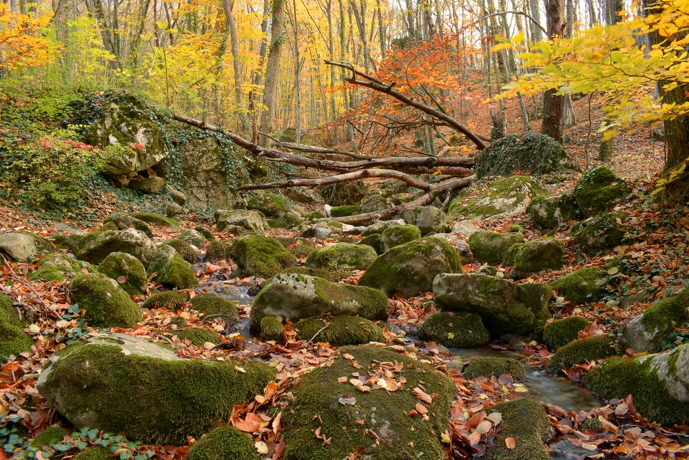 Photograph by Михаил Колтухов