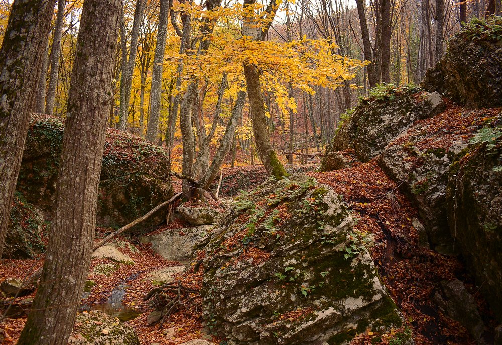 Photograph by Михаил Колтухов