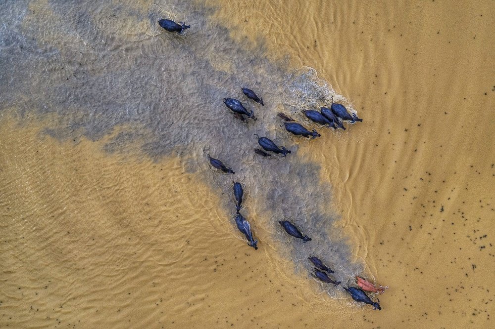 Photograph by Bryan Lim