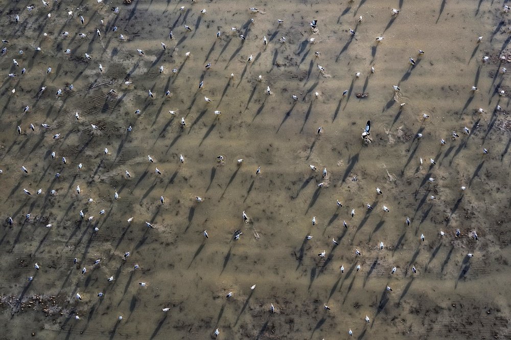 Photograph by Bryan Lim