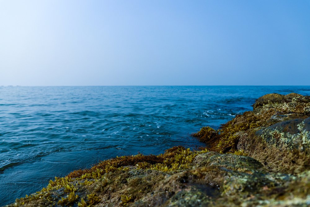 Beach, Reefs and Ocean.