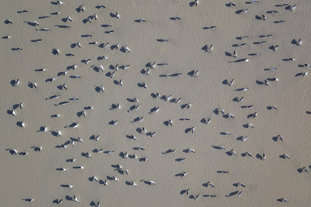 Photograph by Bryan Lim