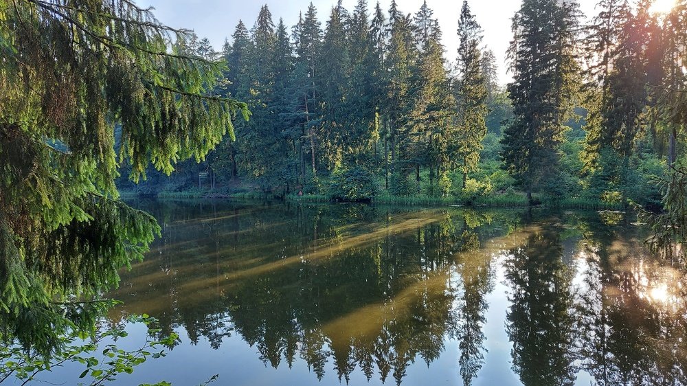 Photograph by ЭЛЬМИРА  ИСМАИЛОВА