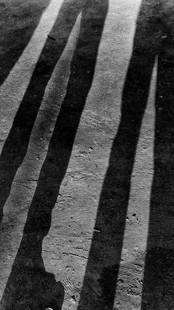 Photograph by Abhishek Das