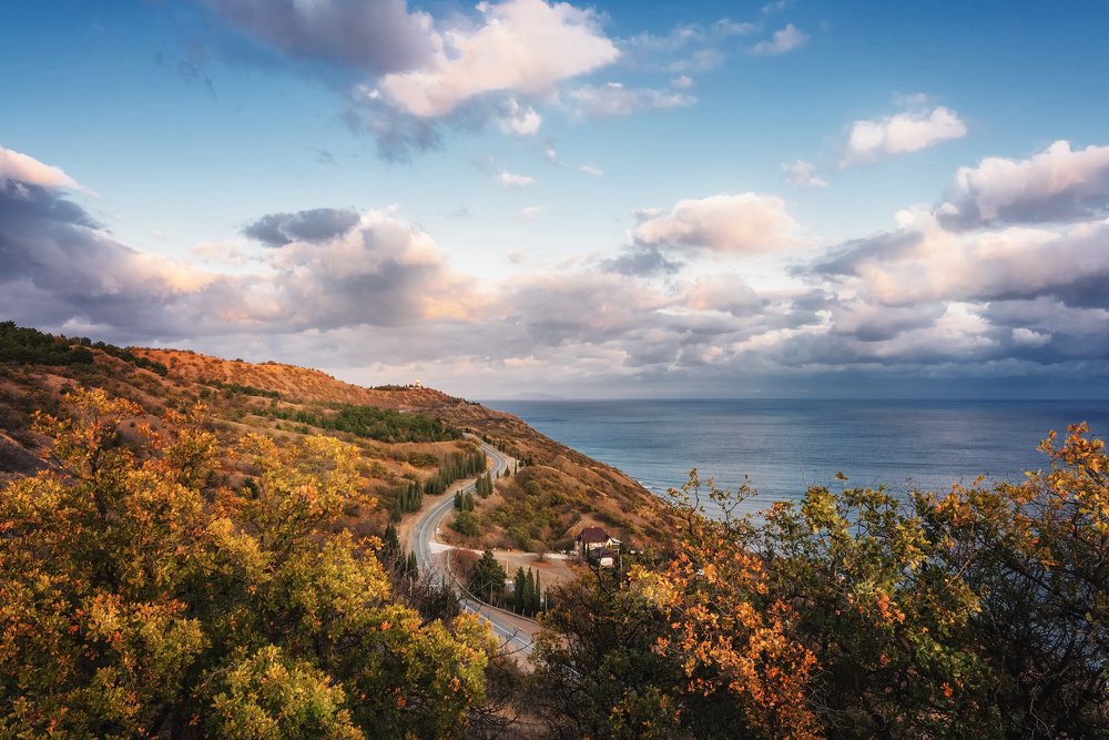 Фотография автора Андрей Бармашов