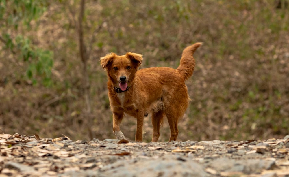 Photograph by Shivendra Singh