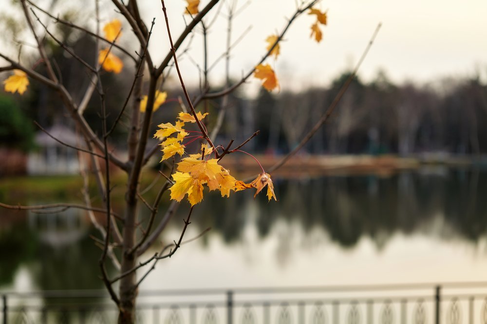 Photograph by Роман Ласун