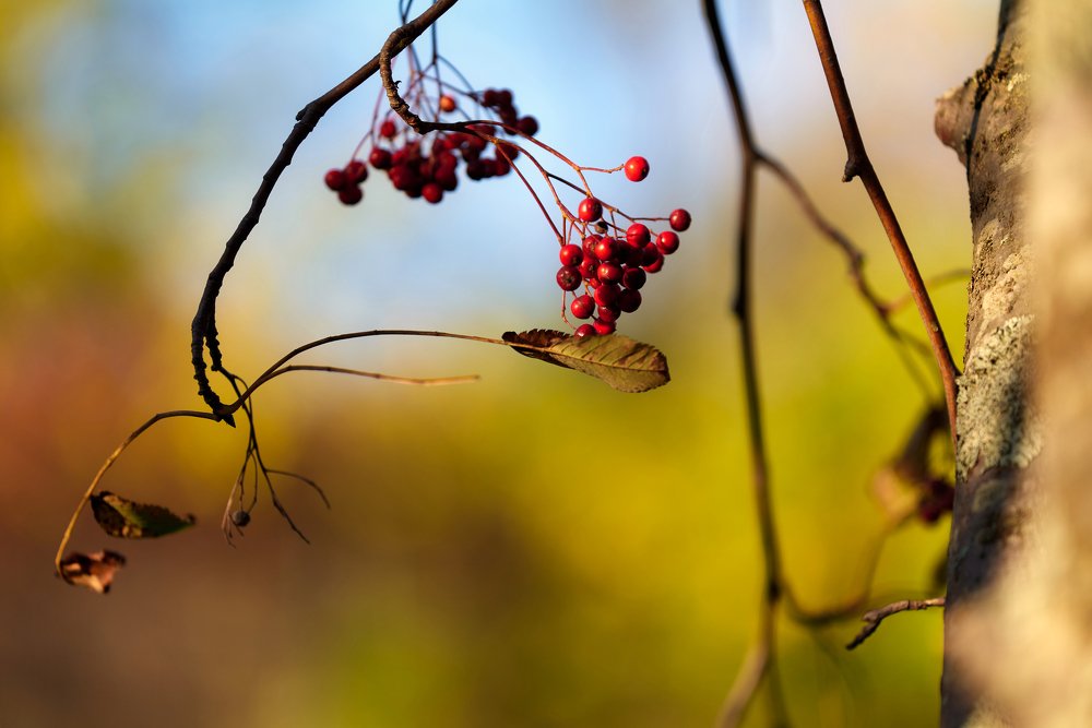 Photograph by Роман Ласун