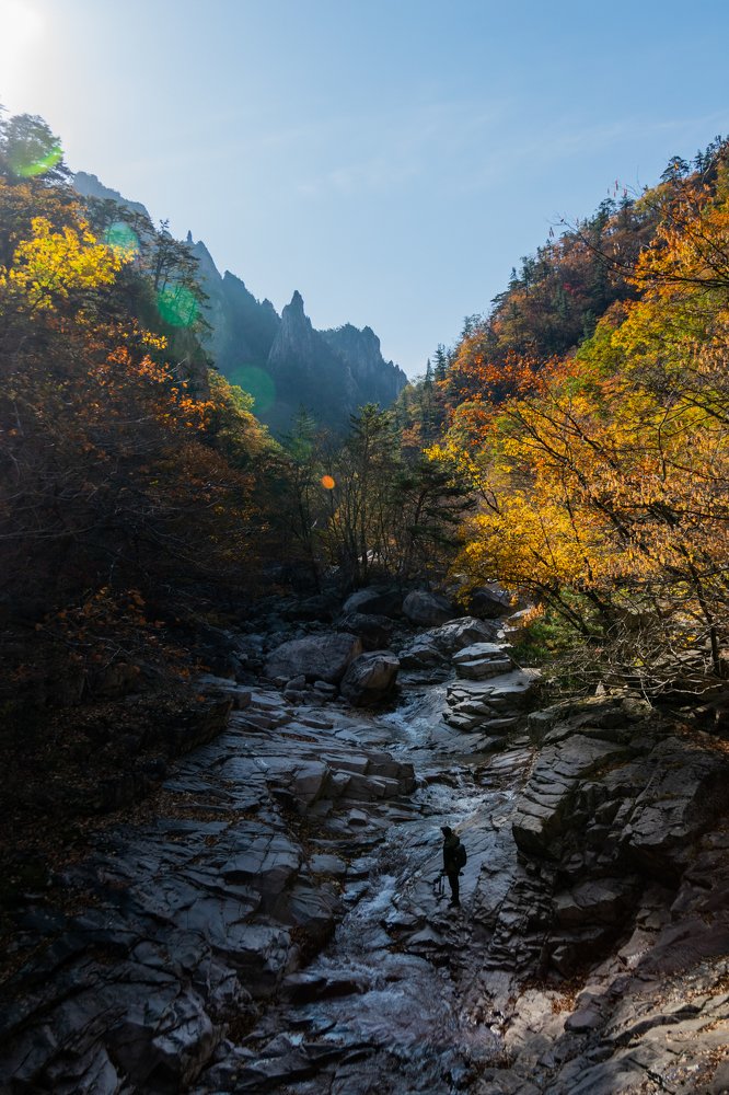 Photograph by Kang Lin Chuah