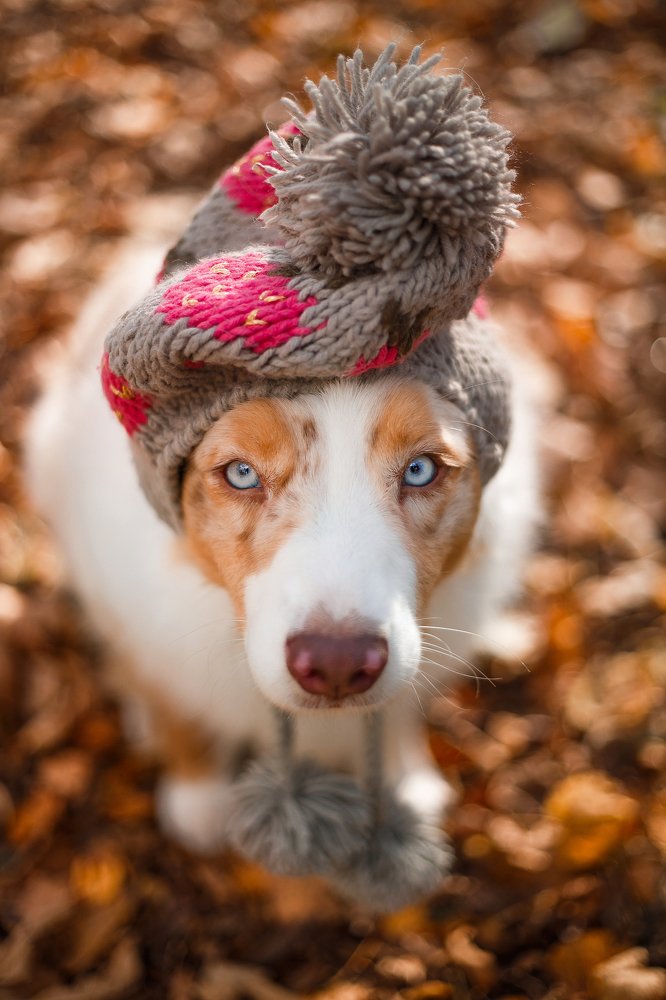 Photograph by Margarita  Davydova