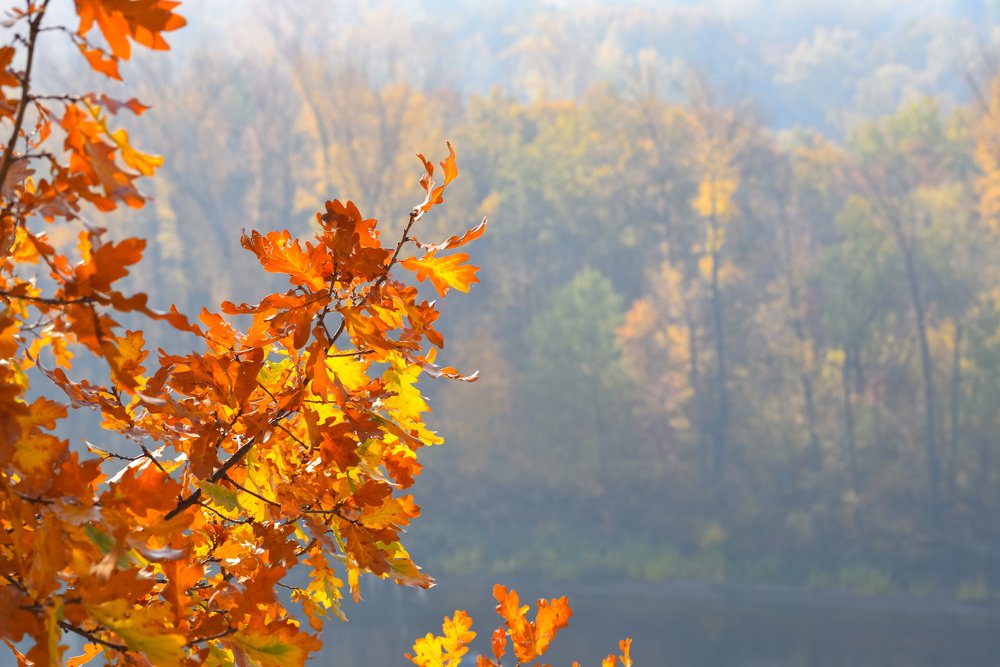 Фотография автора Андрей Бармашов